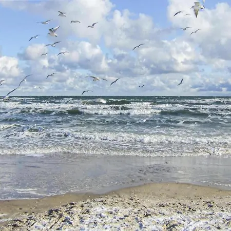 Einladende In Nahe Der Ostsee Klutz